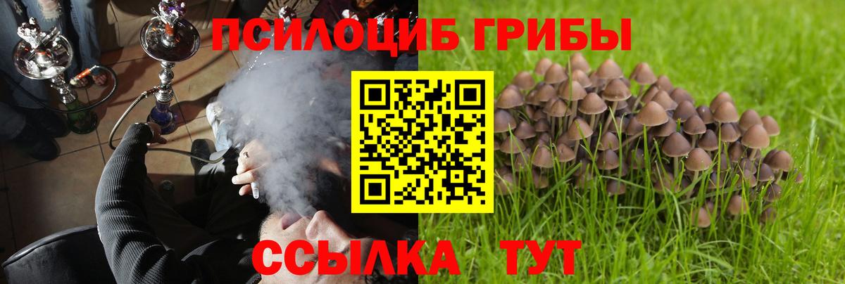 Галлюциногенные грибы мицелий  Вход с VPN  Ессентуки 